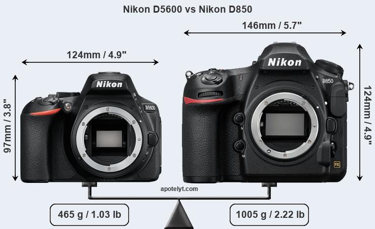 Сервис фотоаппаратов nikon undefined. Nikon d5300 vs 3300. Nikon d3100 Выдержка. Nikon d800.