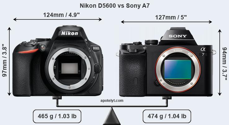 Size Nikon D5600 vs Sony A7