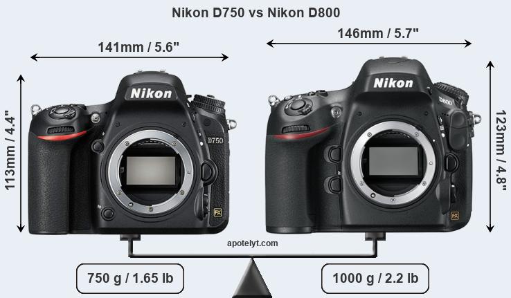 Size Nikon D750 vs Nikon D800