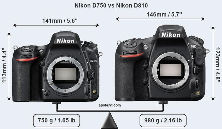 Size Nikon D750 vs Nikon D810