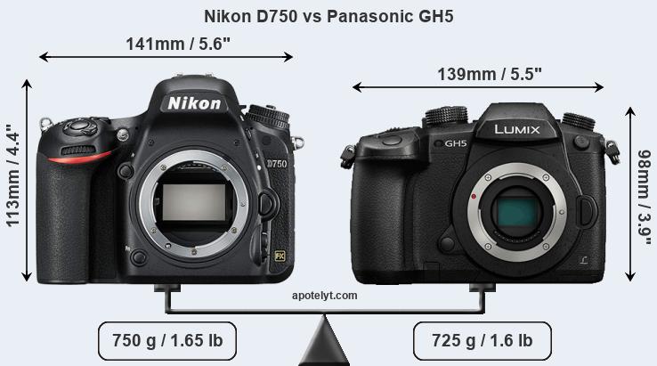 Size Nikon D750 vs Panasonic GH5
