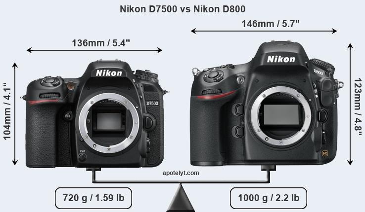 Size Nikon D7500 vs Nikon D800
