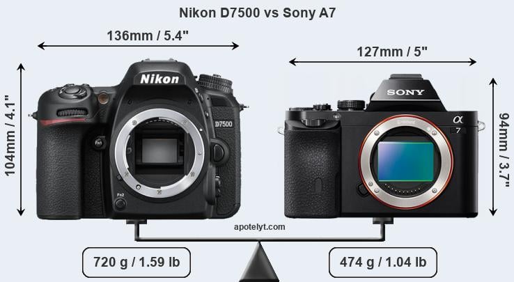 Size Nikon D7500 vs Sony A7