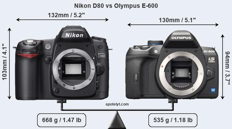 Size Nikon D80 vs Olympus E-600