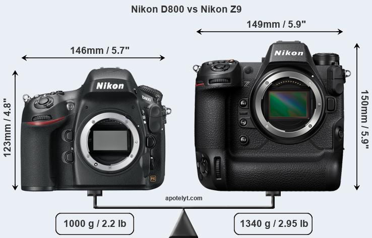 Size Nikon D800 vs Nikon Z9