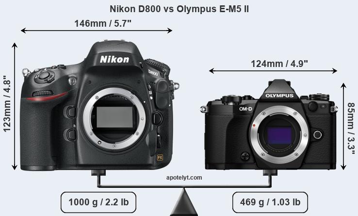 Size Nikon D800 vs Olympus E-M5 II