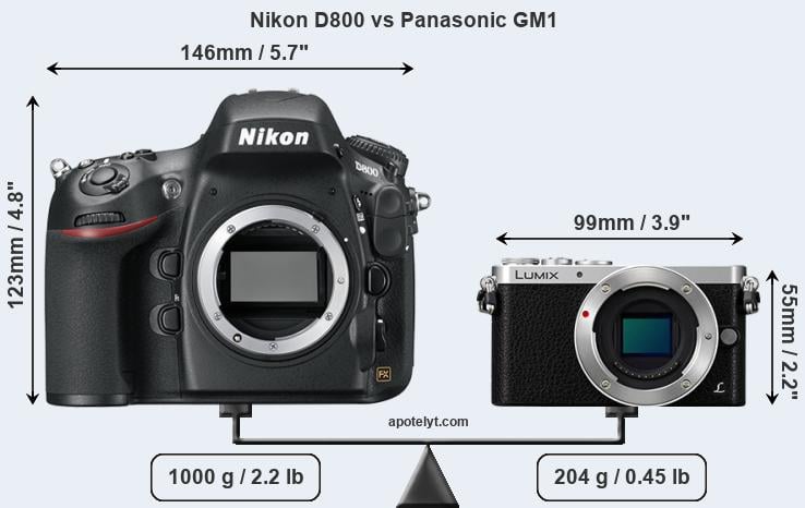 Size Nikon D800 vs Panasonic GM1