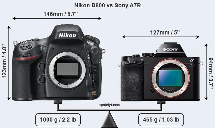Size Nikon D800 vs Sony A7R