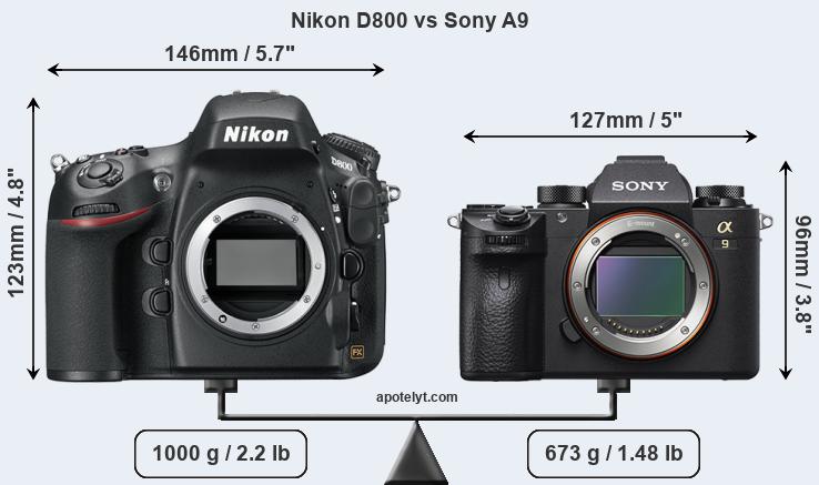 Size Nikon D800 vs Sony A9