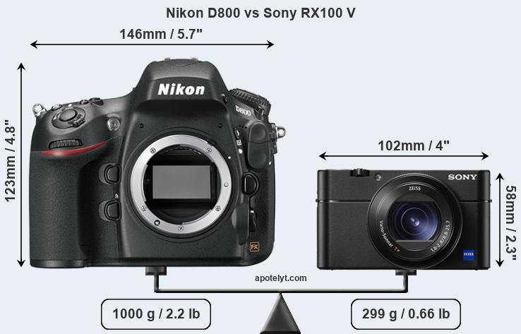Size Nikon D800 vs Sony RX100 V