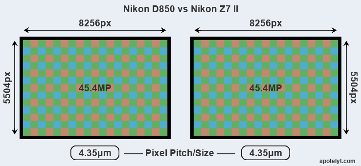 Nikon D850 vs Nikon Z7 II Comparison Review