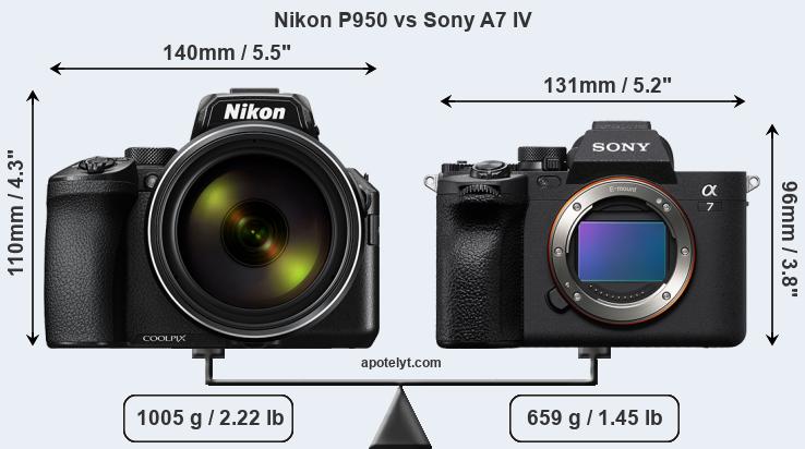 Size Nikon P950 vs Sony A7 IV