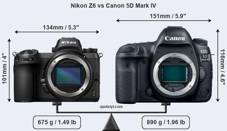Sony canon сравнение. Nikon z6ii vs Canon EOS R. EOS r6 vs 5d Mark IV. Nikon z30 vs Canon r10. Canon 5dm2 28-90 тест.
