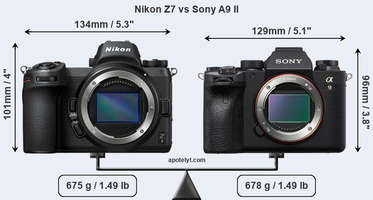 Size Nikon Z7 vs Sony A9 II