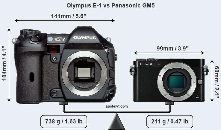 Size Olympus E-1 vs Panasonic GM5