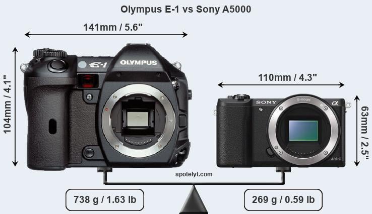 Size Olympus E-1 vs Sony A5000