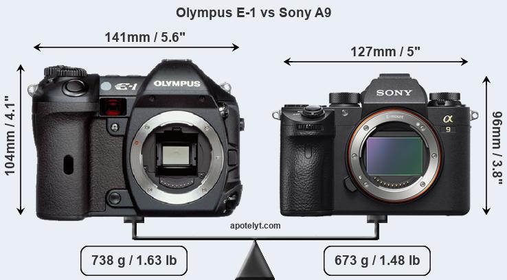 Size Olympus E-1 vs Sony A9