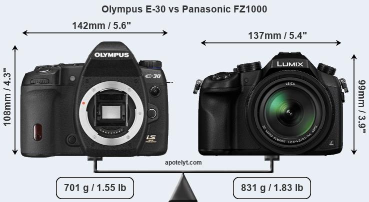 Size Olympus E-30 vs Panasonic FZ1000