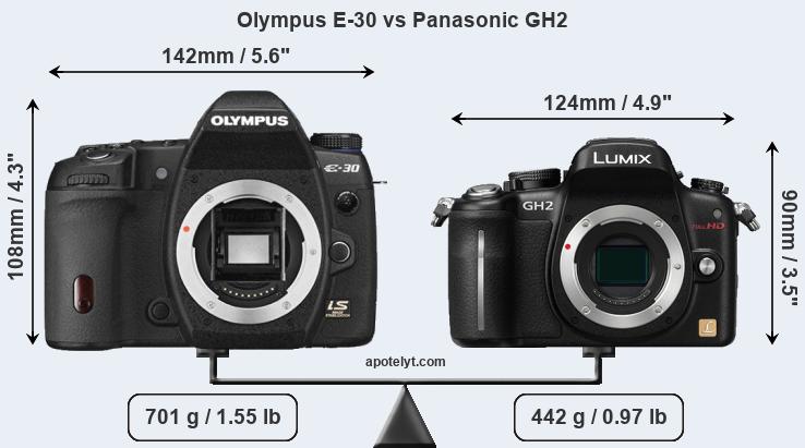 Size Olympus E-30 vs Panasonic GH2