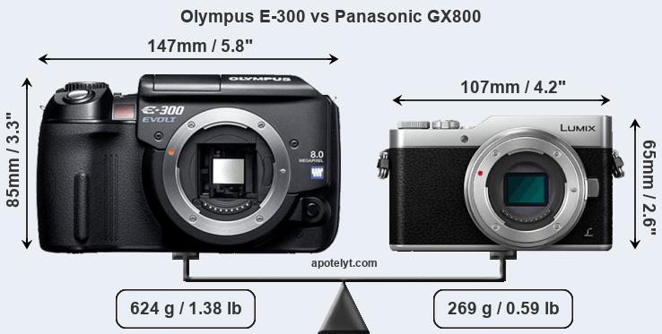 Size Olympus E-300 vs Panasonic GX800