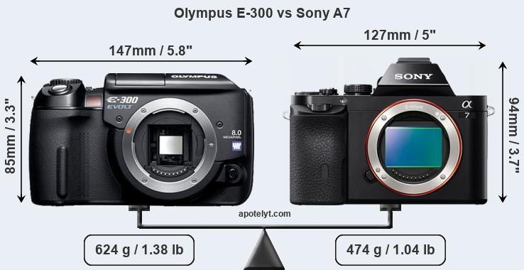 Size Olympus E-300 vs Sony A7