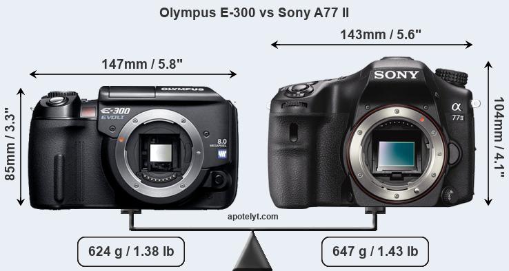 Size Olympus E-300 vs Sony A77 II