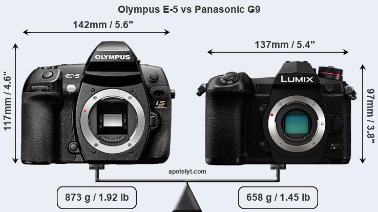 Size Olympus E-5 vs Panasonic G9