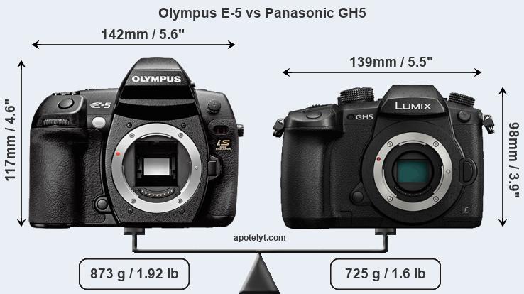 Size Olympus E-5 vs Panasonic GH5