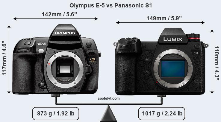 Size Olympus E-5 vs Panasonic S1