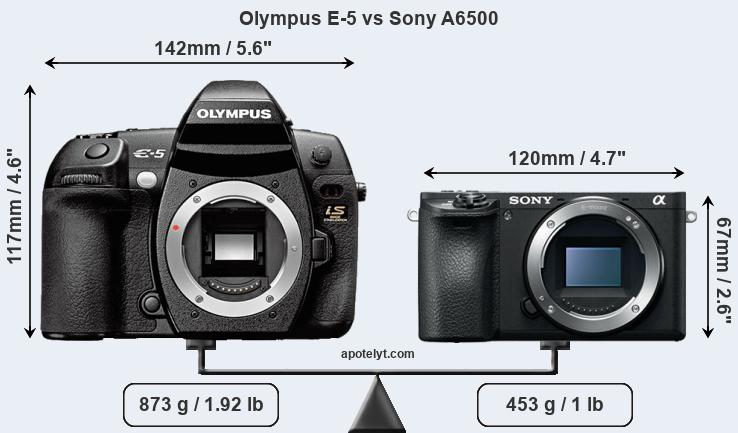 Size Olympus E-5 vs Sony A6500