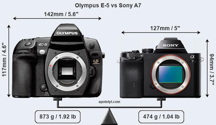 Size Olympus E-5 vs Sony A7