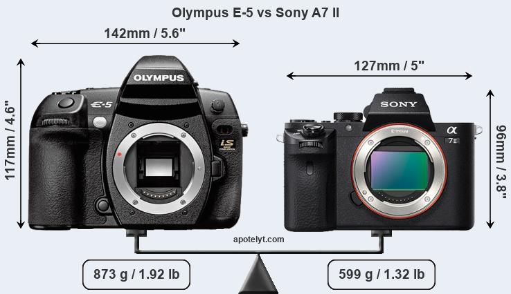 Size Olympus E-5 vs Sony A7 II