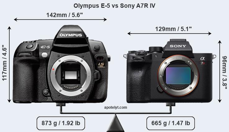 Size Olympus E-5 vs Sony A7R IV