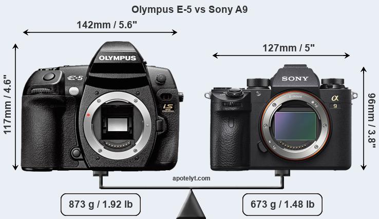 Size Olympus E-5 vs Sony A9
