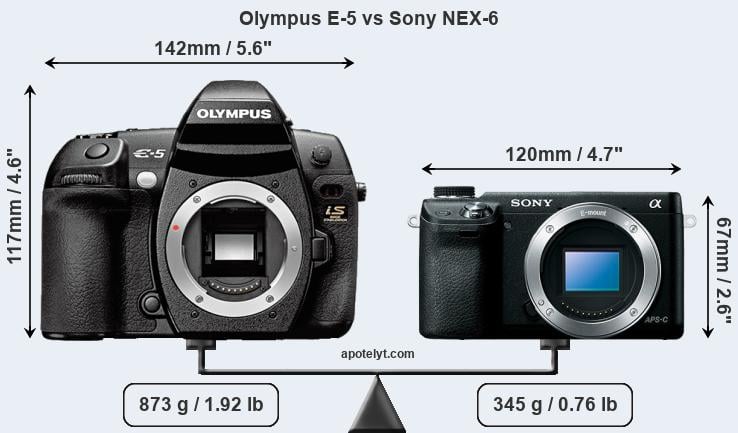 Size Olympus E-5 vs Sony NEX-6