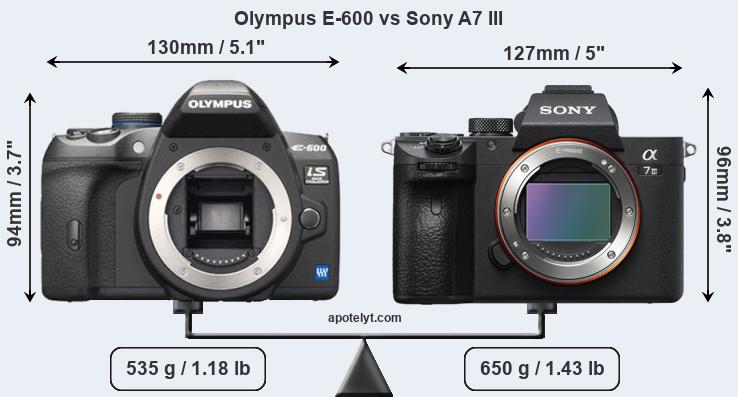 Size Olympus E-600 vs Sony A7 III