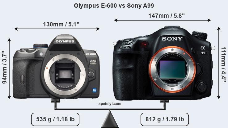 Size Olympus E-600 vs Sony A99