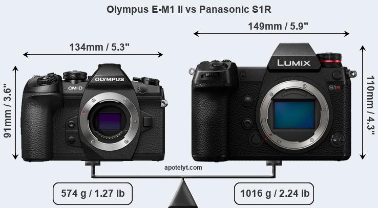 Size Olympus E-M1 II vs Panasonic S1R