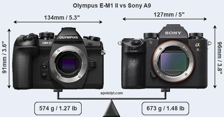 Size Olympus E-M1 II vs Sony A9