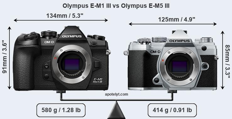 Size Olympus E-M1 III vs Olympus E-M5 III