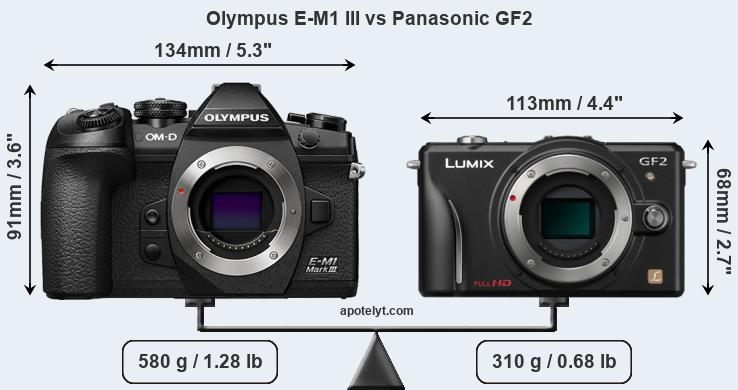 Size Olympus E-M1 III vs Panasonic GF2