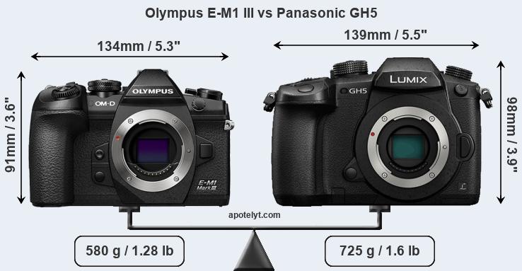Size Olympus E-M1 III vs Panasonic GH5