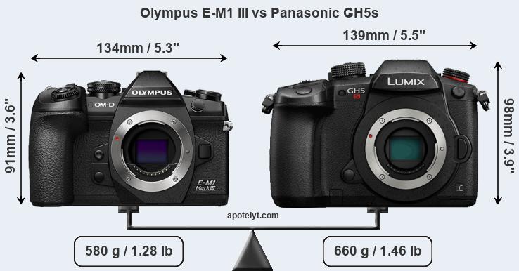 Size Olympus E-M1 III vs Panasonic GH5s