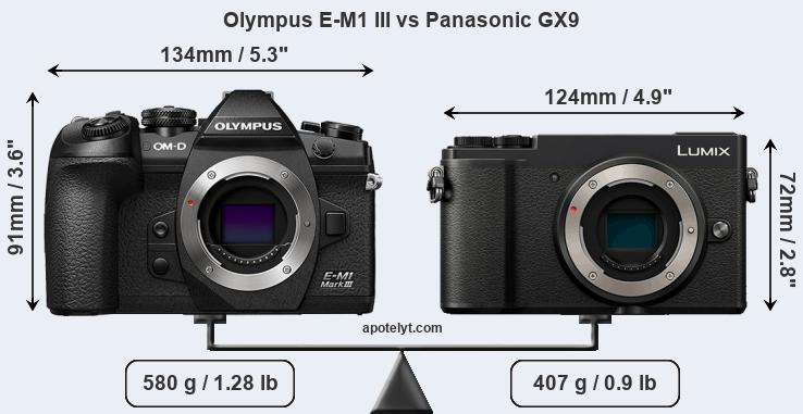 Size Olympus E-M1 III vs Panasonic GX9
