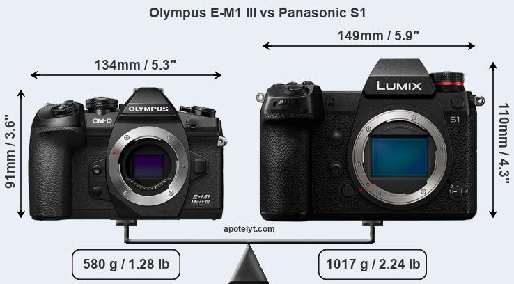 Size Olympus E-M1 III vs Panasonic S1