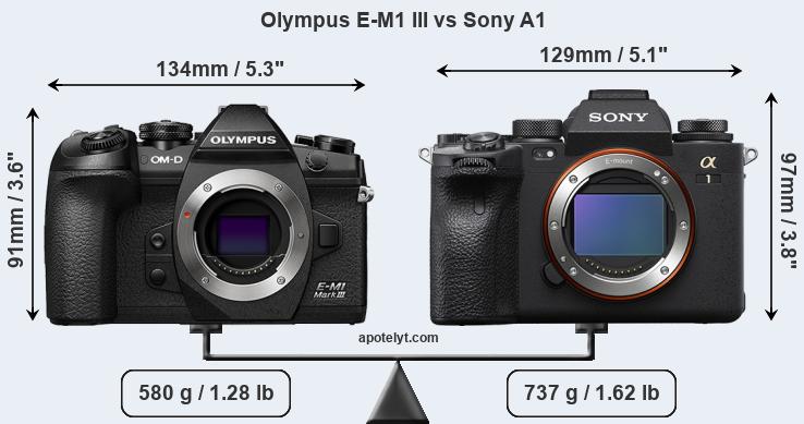 Size Olympus E-M1 III vs Sony A1