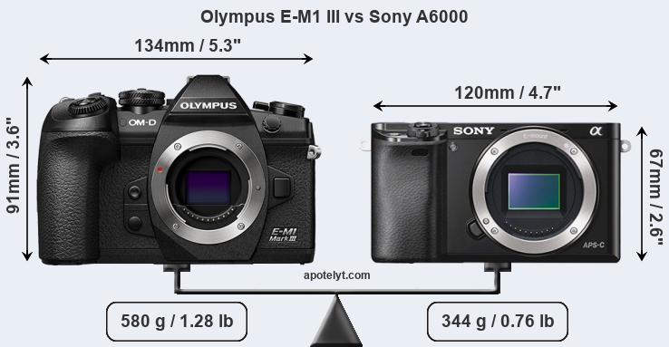 Size Olympus E-M1 III vs Sony A6000