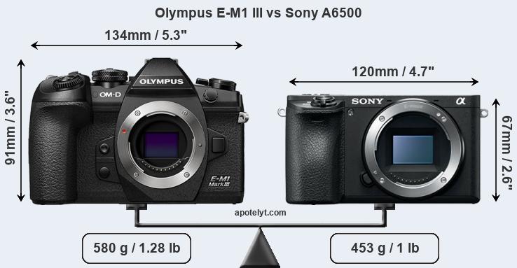Size Olympus E-M1 III vs Sony A6500