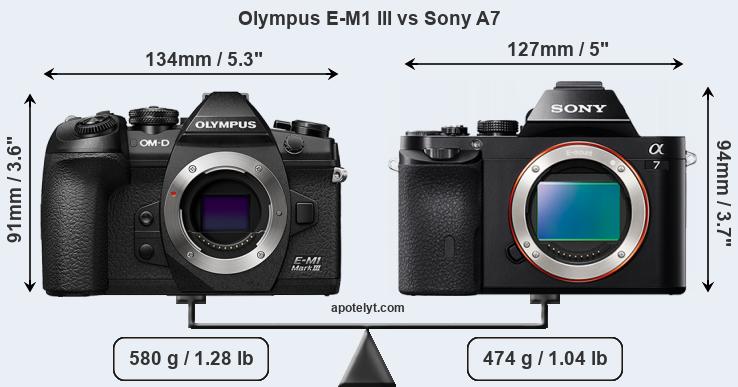 Size Olympus E-M1 III vs Sony A7