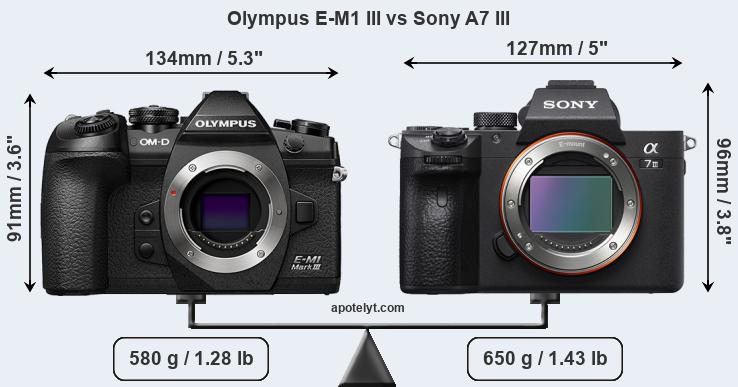 Size Olympus E-M1 III vs Sony A7 III